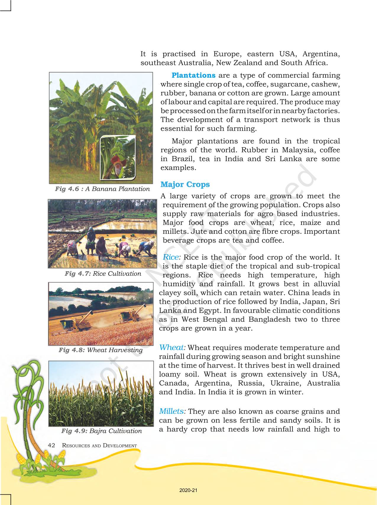 agriculture-ncert-book-of-class-8-geography-resources-and-development